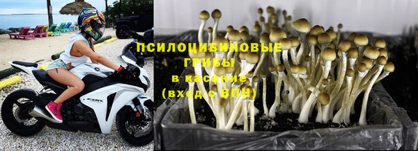 гашик Вязьма