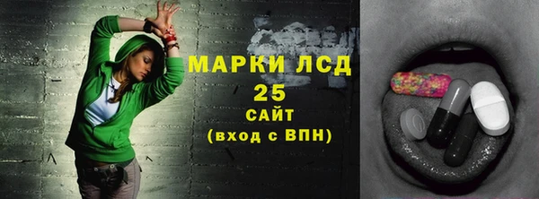 гашик Вязьма