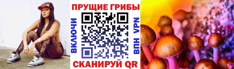 shop официальный сайт  Сочи  Псилоцибиновые грибы мухоморы  купить наркотик 